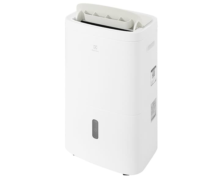 Máy hút ẩm Electrolux EDH10TRBW1