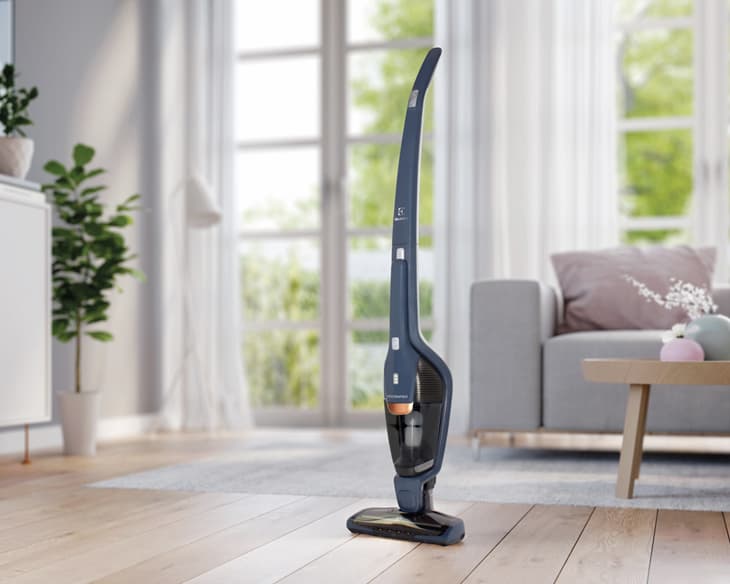 Máy hút bụi Electrolux ZB3513DB