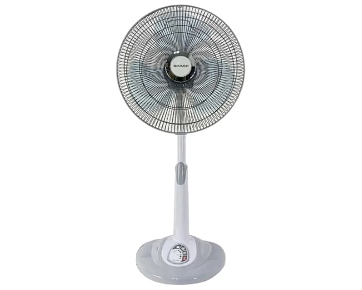 Quạt đứng Sharp PJ-L40RV-LG