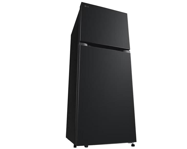 Tủ lạnh LG 217 Lít LTB21BLMD