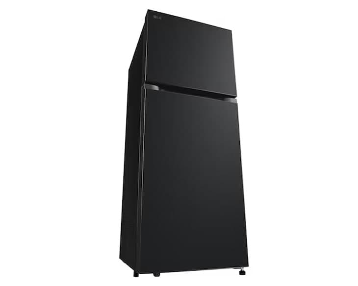 Tủ lạnh LG Inverter 217 Lít LTB21BLMI