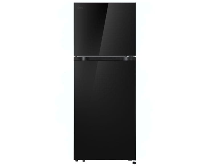 Tủ lạnh LG Inverter 217 Lít T21BG