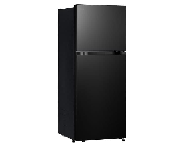 Tủ lạnh LG Inverter 217 Lít T21BG