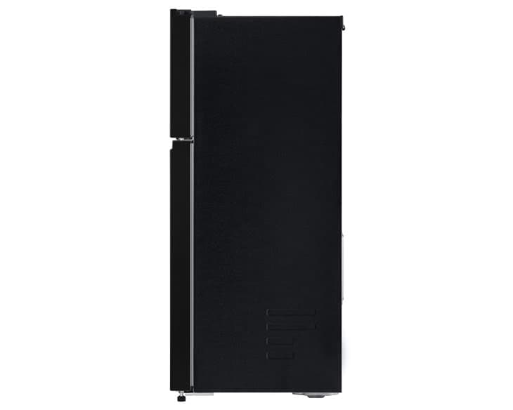 Tủ lạnh LG Inverter 217 Lít T21BG