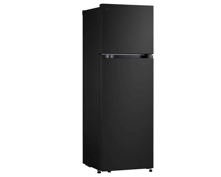 Tủ Lạnh LG Inverter 266 Lít LTB26BLM