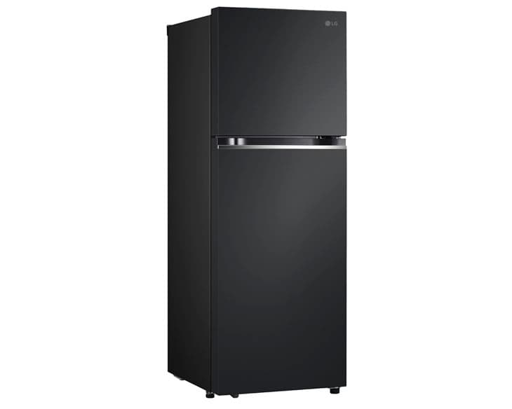 Tủ lạnh LG Inverter 315 Lít LTB31BLM