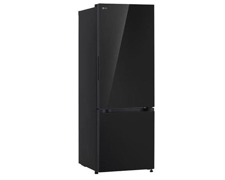Tủ lạnh LG Inverter 335 Lít LBB33BLGA