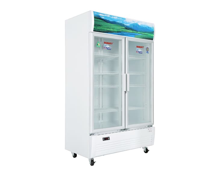 Tủ mát Sanaky 900 Lít VH-1009HP